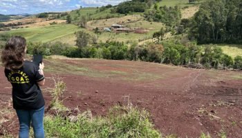 Foto: Governo do Paraná