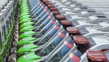 Foto: Governo do Paraná