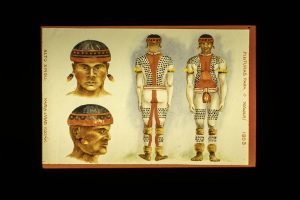 Foto: Governo do Paraná