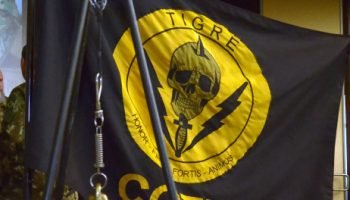 Foto de policiais civis em treinamento — Foto: Governo do Paraná