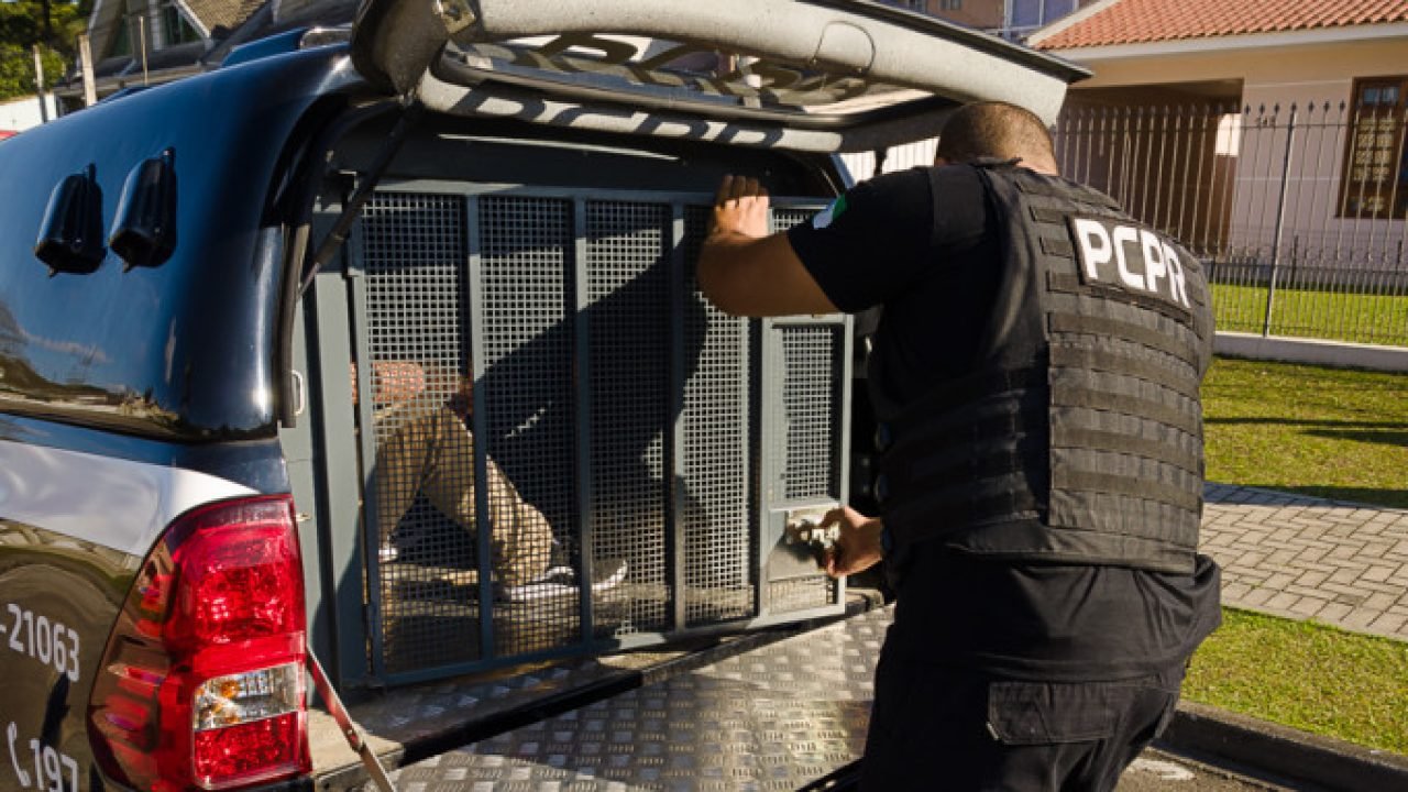 Foto: Governo do Paraná