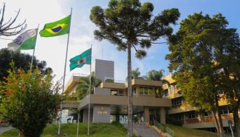 No Paraná, não é necessário agendar horário para atendimento presencial. — Foto: