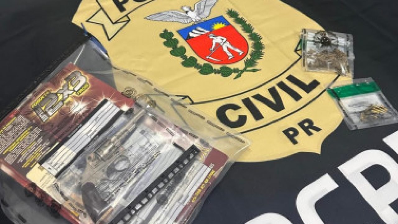 Foto: Governo do Paraná