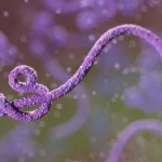 ebola-metropolesjpg006458180202606132249.webp.webp