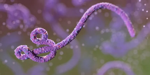 ebola-metropolesjpg006458180202606132249.webp.webp