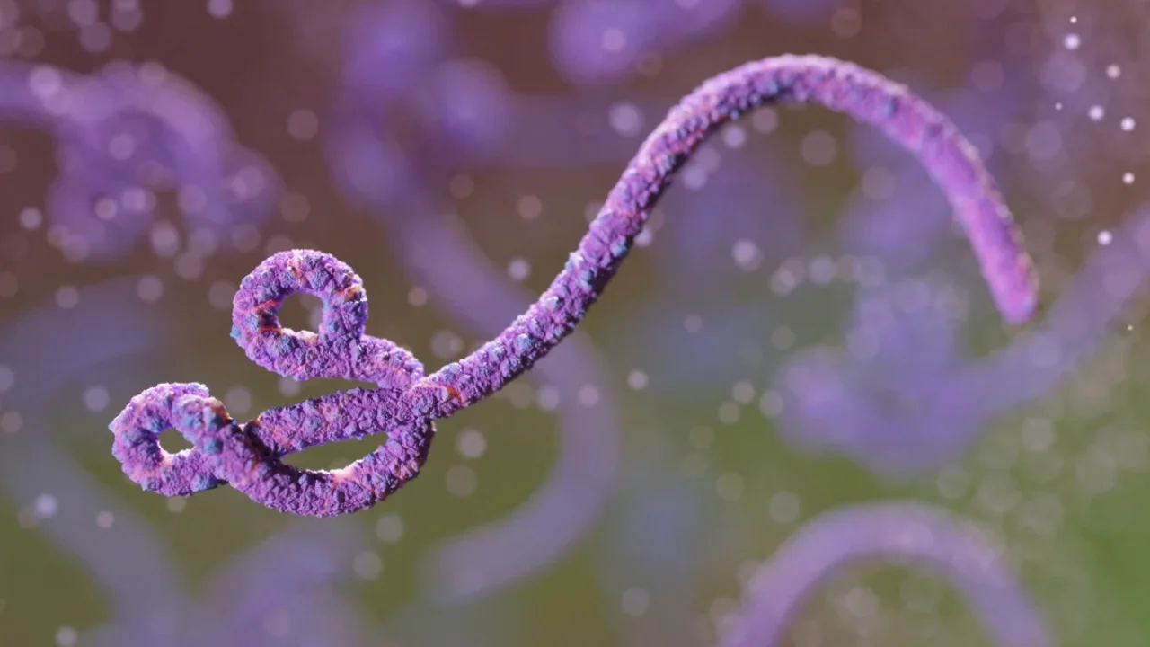 ebola-metropolesjpg006458180202606132249.webp.webp