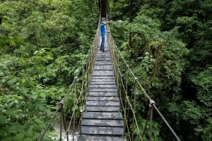 ecoturismo