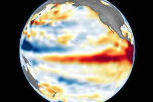 el-nino-1006666220202608132358.webp.webp