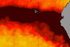 el-nino-costeiro006756260202610051345.webp