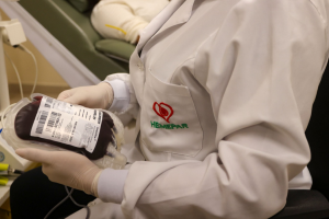 estoque-de-sangue-gilson-abreu-aen006624910202607221514.png