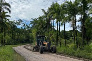 DER/PR homologa licitação dos estudos ambientais. — Foto: Governo do Paraná