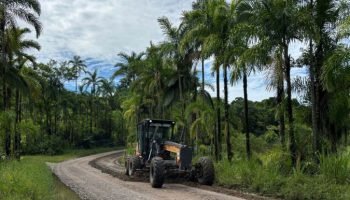 DER/PR homologa licitação dos estudos ambientais. — Foto: Governo do Paraná