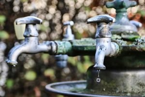 Foto: (Reprodução/Freepik)