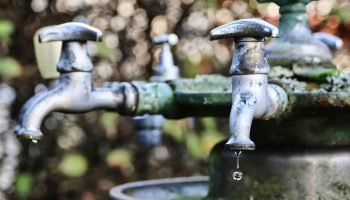 Foto: (Reprodução/Freepik)