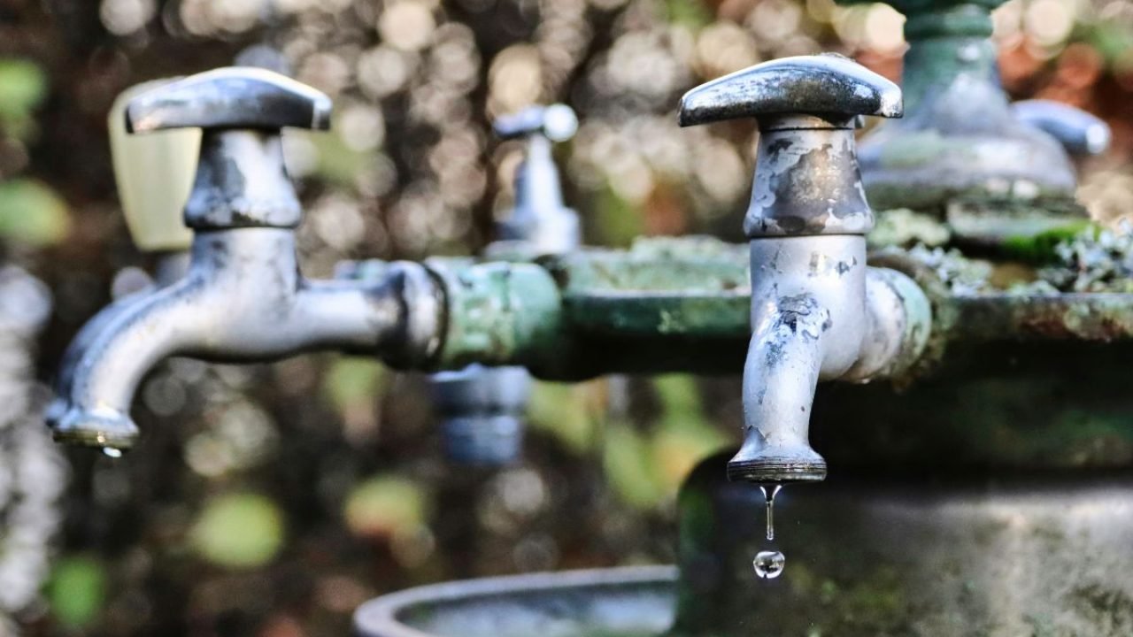 Foto: (Reprodução/Freepik)