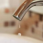 Foto: Foto: Reprodução/Freepik