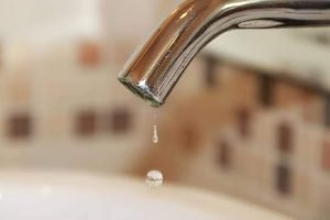 Foto: Foto: Reprodução/Freepik