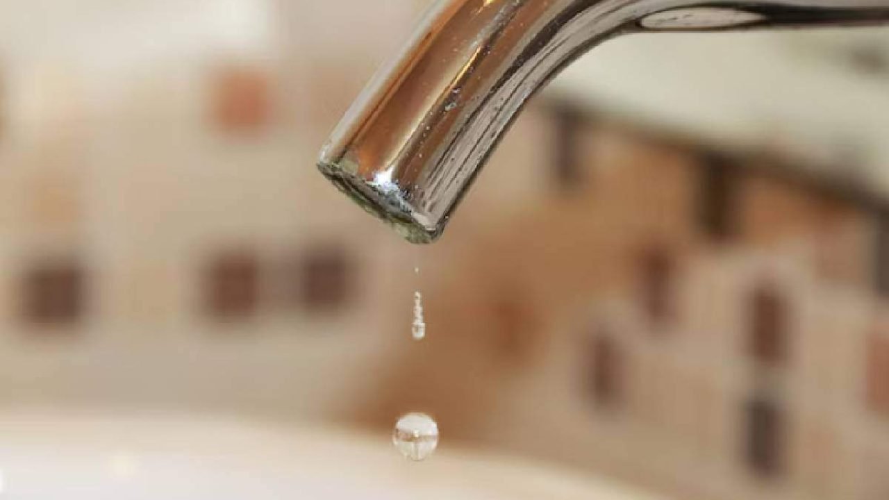 Foto: Foto: Reprodução/Freepik