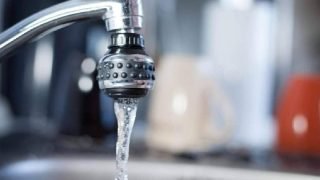 Foto: Foto: Reprodução/Pixabay