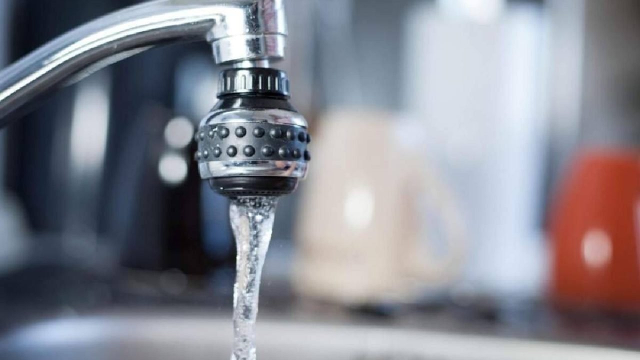 Foto: Foto: Reprodução/Pixabay