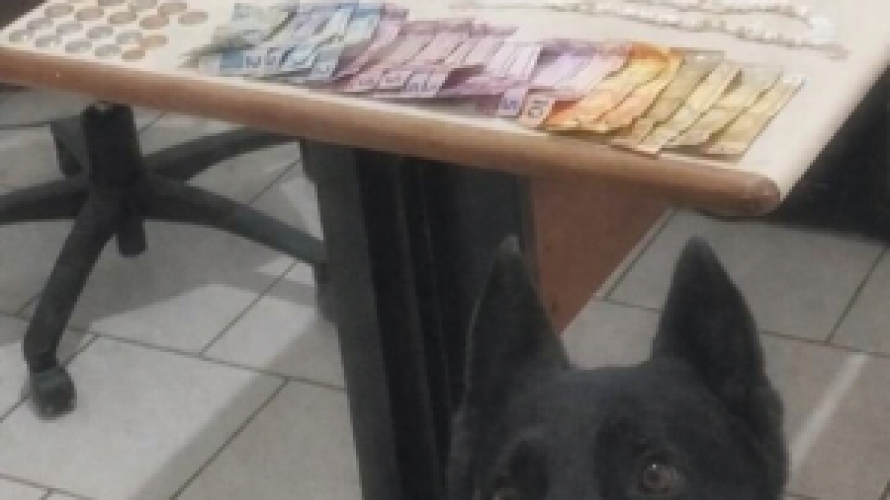 PMPR prende homem por tráfico de drogas em Guaratuba — Foto: Governo do Paraná