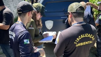 Foto: Governo do Paraná