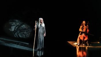 O espetáculo Ficções, inspirado no livro Sapiens, chega ao Teatro Guaíra — Foto: