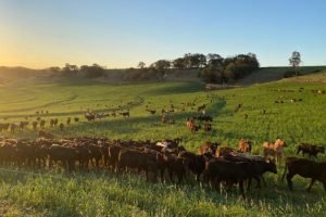 Foto: Governo do Paraná