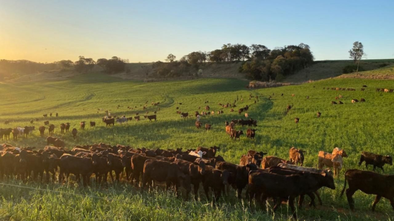Foto: Governo do Paraná