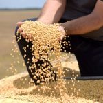 foto-1-regularizacao-fundiaria-ajuda-no-aumento-da-producao-do-agro-em-roraima-foto-secom-rr