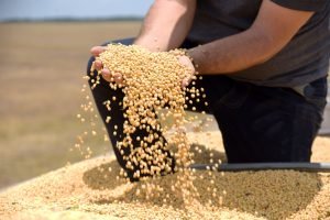 foto-1-regularizacao-fundiaria-ajuda-no-aumento-da-producao-do-agro-em-roraima-foto-secom-rr