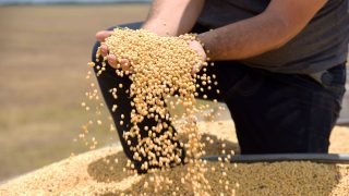 foto-1-regularizacao-fundiaria-ajuda-no-aumento-da-producao-do-agro-em-roraima-foto-secom-rr