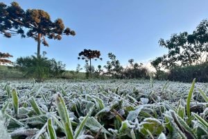 Foto: Frio intenso no Sul do Brasil (Foto: Ana Tigrinho/AEN)