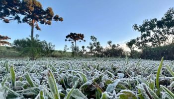 Foto: Frio intenso no Sul do Brasil (Foto: Ana Tigrinho/AEN)