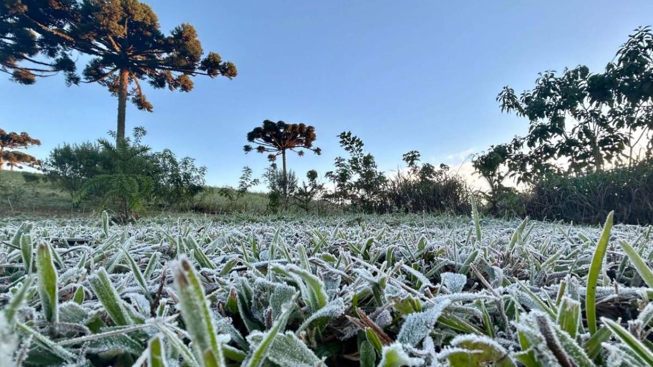 Foto: Frio intenso no Sul do Brasil (Foto: Ana Tigrinho/AEN)