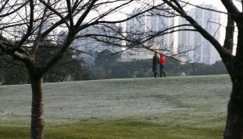 Frio no Paraná — Foto: Foto: Geraldo Bubniak/ANPr