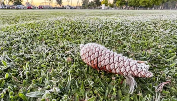 Foto: O Paraná recebeu um alerta de geada para algumas cidades da região sul nes