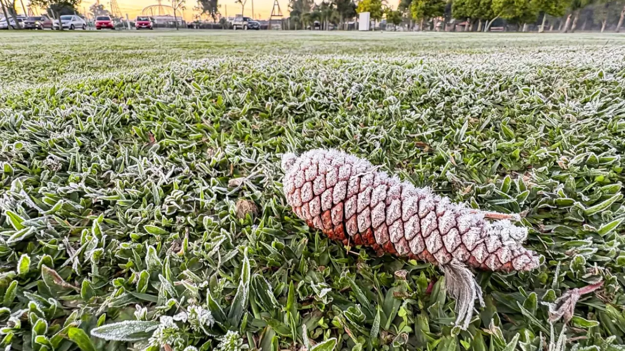 Foto: O Paraná recebeu um alerta de geada para algumas cidades da região sul nes