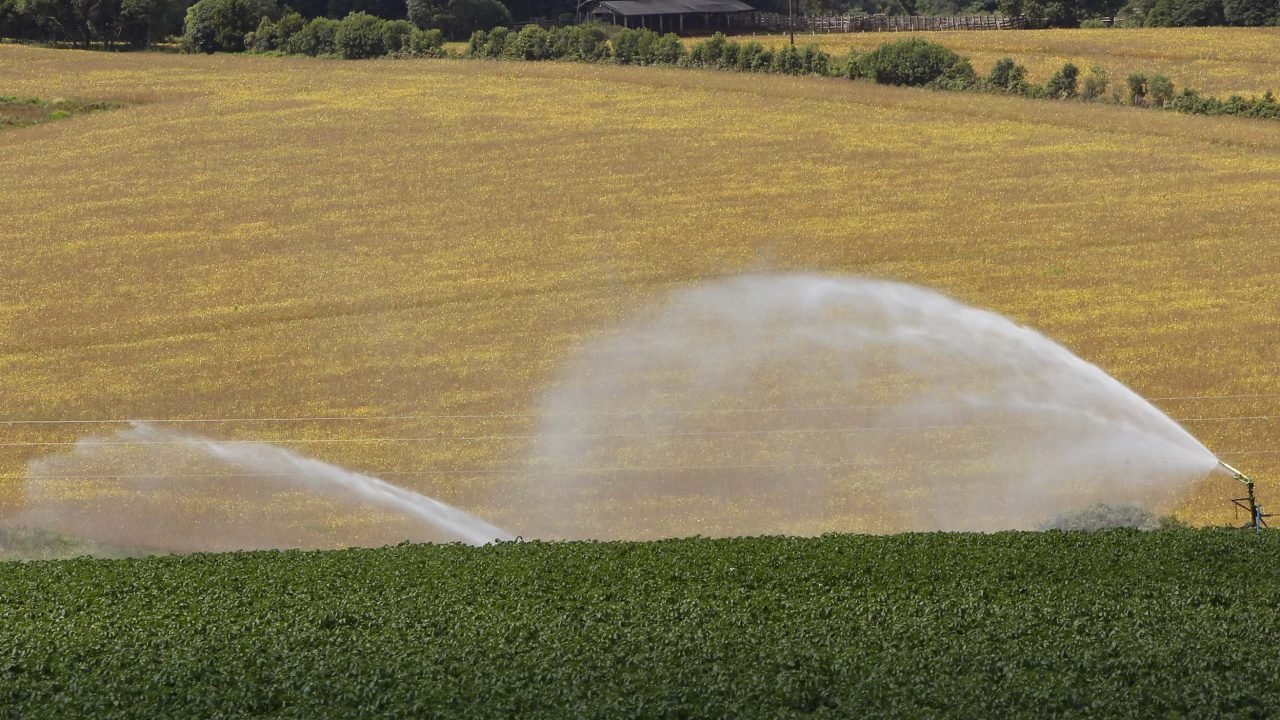Foto: Governo do Paraná