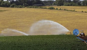Foto: Governo do Paraná