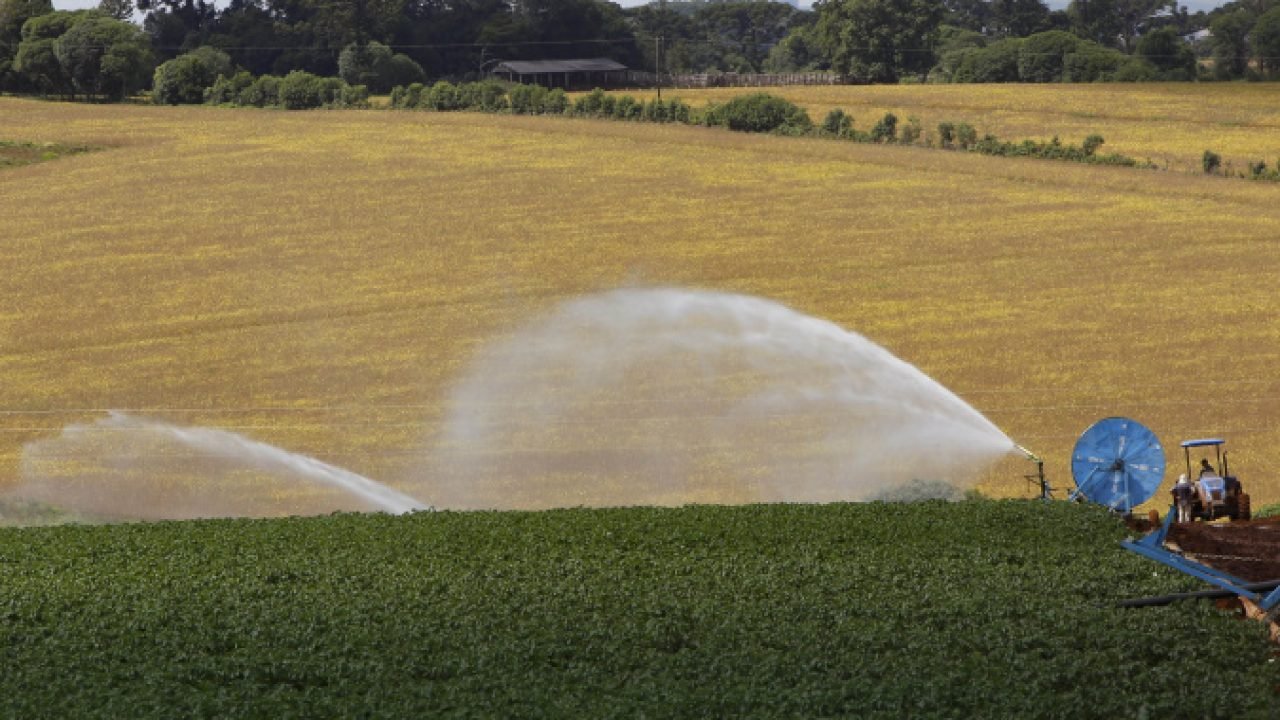 Foto: Governo do Paraná