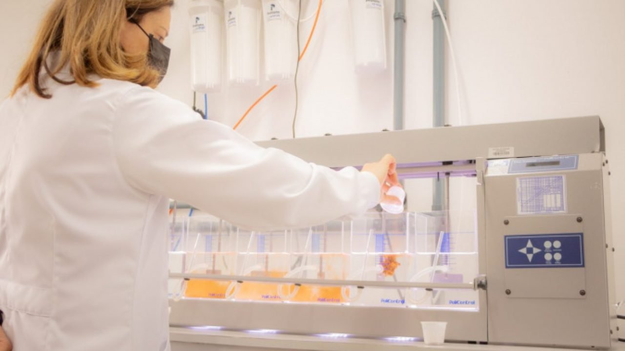 Foto: Governo do Paraná