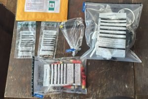 Polícia Civil em operação contra grupo criminoso — Foto: Governo do Paraná