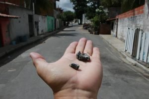guerra-de-faccoes