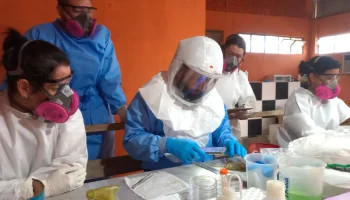 Paraná teve três casos de Hantavírus desde 2025 — Foto: Paraná teve três casos d
