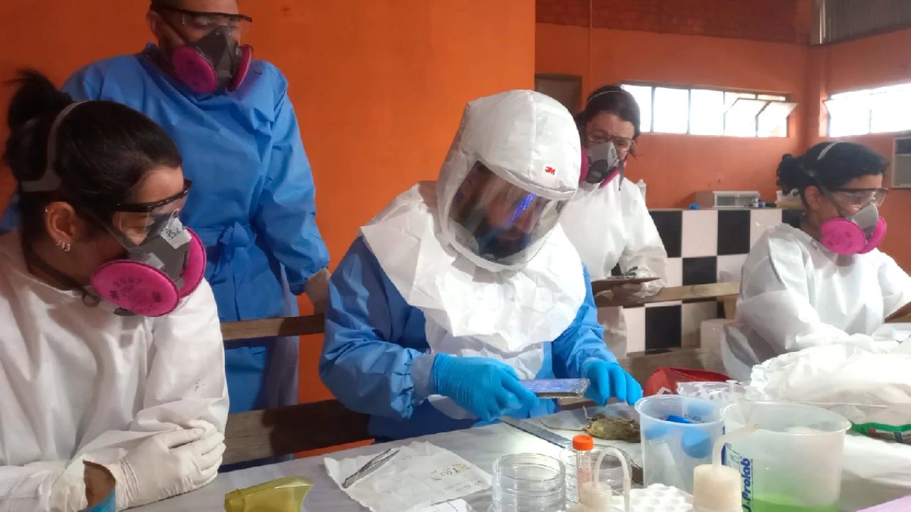 Paraná teve três casos de Hantavírus desde 2025 — Foto: Paraná teve três casos d