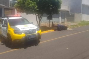 Foto de um sofá abandonado na rua — Foto: Foto: PMPR