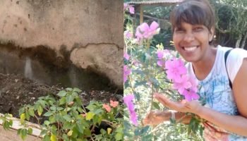 A vítima foi identificada como Miriam de Oliveira Soares, de 39 anos. — Foto: A
