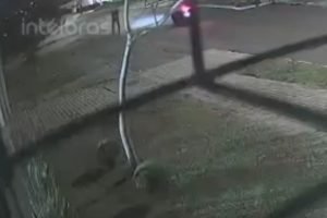 Foto: O autor dos disparos está foragido. (Reprodução/Câmeras de segurança)