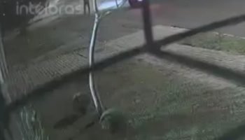 Foto: O autor dos disparos está foragido. (Reprodução/Câmeras de segurança)